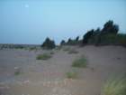 tunisia0082_small.jpg