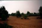 tunisia0086_small.jpg