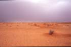 tunisia0091_small.jpg
