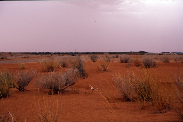 tunisia0092.jpg