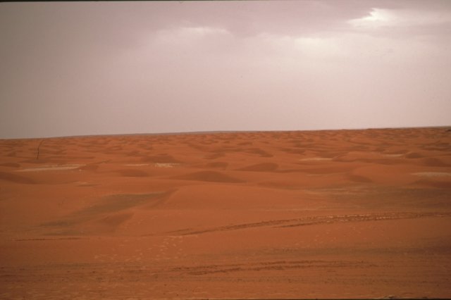 tunisia0098.jpg