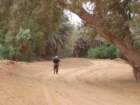 tunisia0102_small.jpg