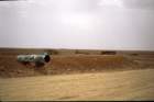 tunisia0104_small.jpg