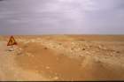 tunisia0109_small.jpg