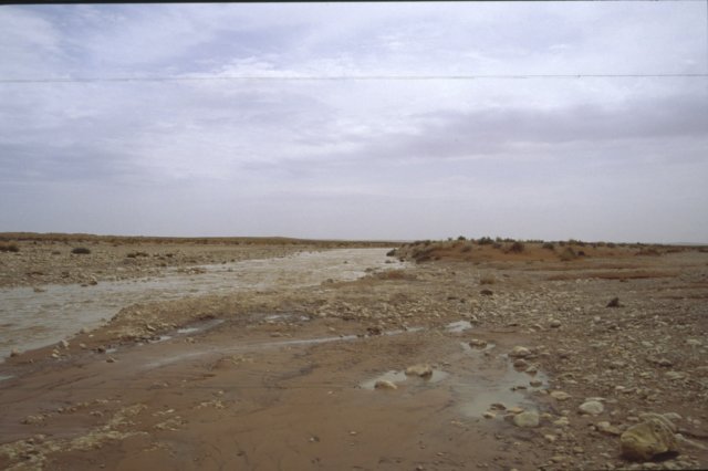 tunisia0112.jpg