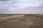 tunisia0112_small.jpg