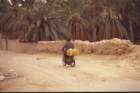tunisia0123_small.jpg