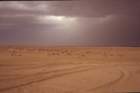 tunisia0128_small.jpg