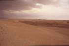 tunisia0130_small.jpg