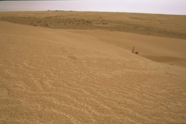 tunisia0131.jpg