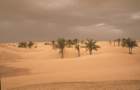 tunisia0133_small.jpg