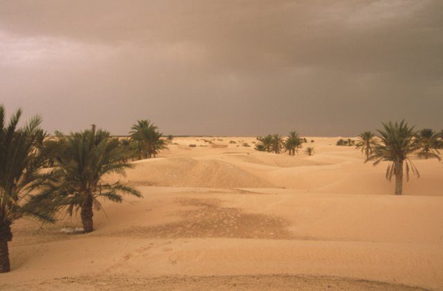 tunisia0134.jpg