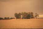 tunisia0142_small.jpg