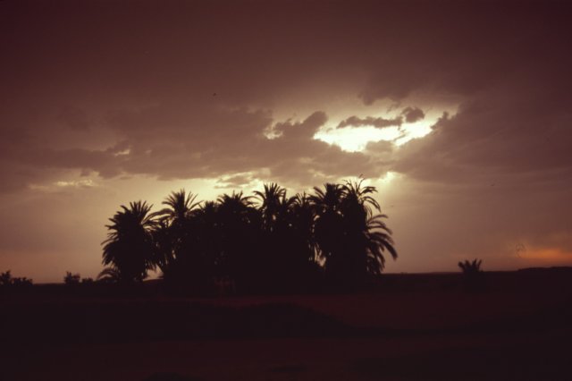 tunisia0143.jpg