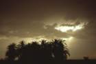 tunisia0145_small.jpg