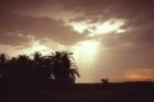 tunisia0146_small.jpg