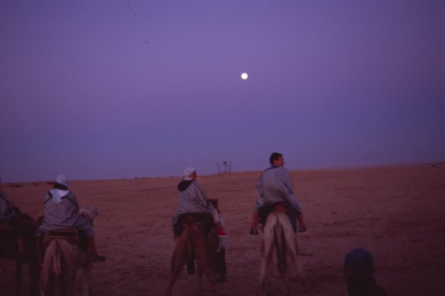 tunisia0153.jpg