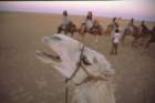 tunisia0155_small.jpg