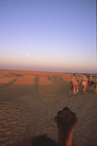 tunisia0160.jpg