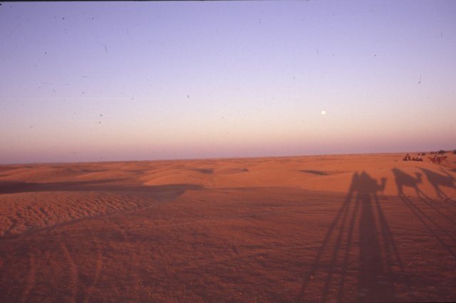tunisia0161.jpg