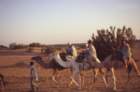 tunisia0162_small.jpg