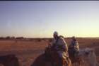 tunisia0163_small.jpg