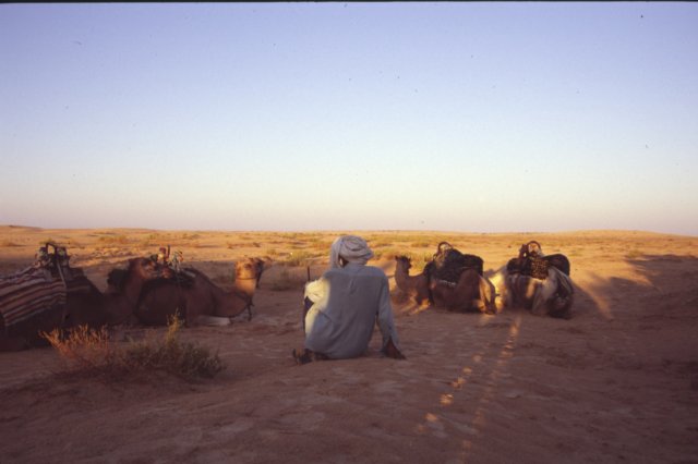 tunisia0166.jpg
