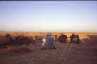 tunisia0166_small.jpg