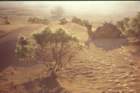 tunisia0171_small.jpg