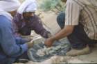 tunisia0182_small.jpg