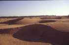 tunisia0186_small.jpg