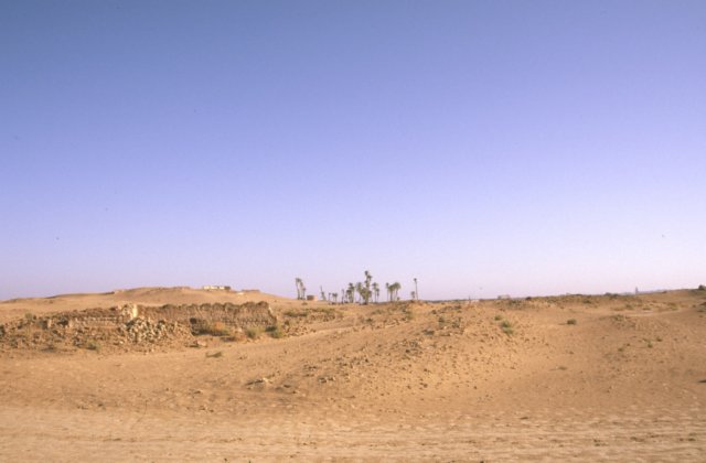 tunisia0190.jpg