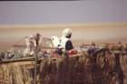 tunisia0193_small.jpg