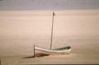 tunisia0194_small.jpg