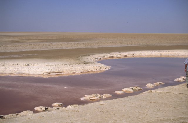 tunisia0197.jpg