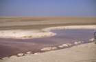 tunisia0197_small.jpg