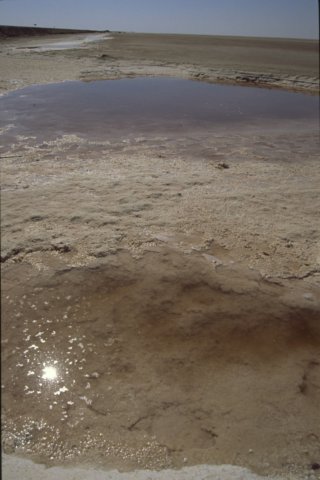 tunisia0199.jpg
