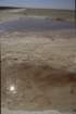 tunisia0199_small.jpg