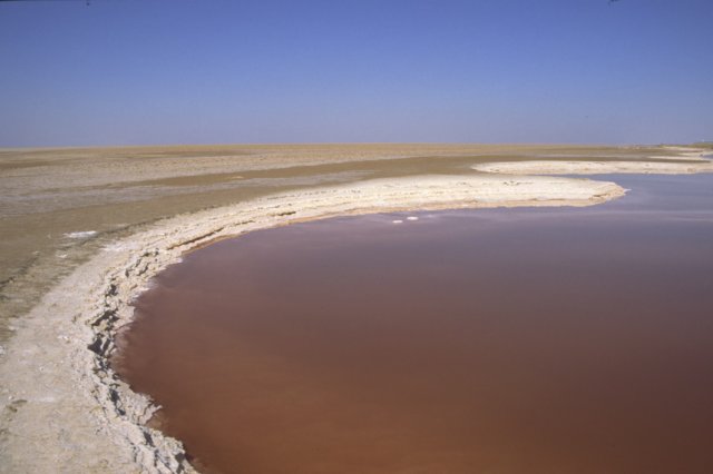tunisia0201.jpg