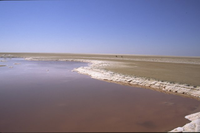 tunisia0205.jpg