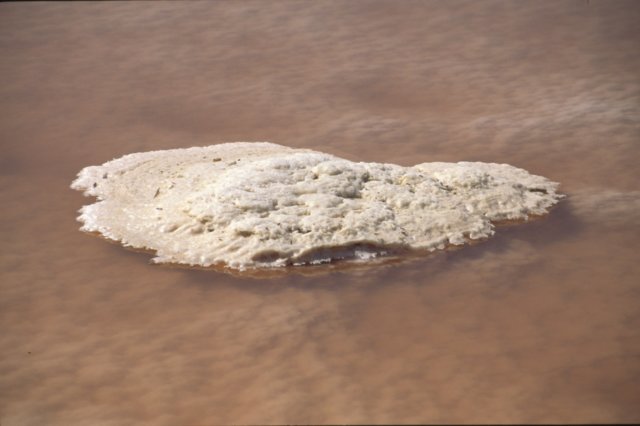tunisia0207.jpg