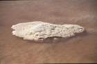 tunisia0207_small.jpg