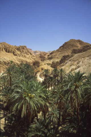 tunisia0209.jpg