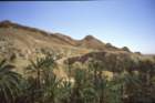 tunisia0210_small.jpg