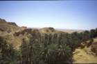 tunisia0213_small.jpg