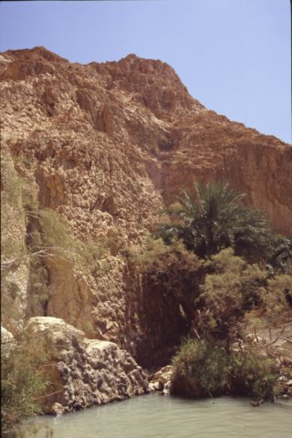 tunisia0221.jpg