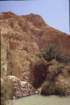 tunisia0221_small.jpg