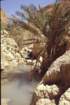 tunisia0222_small.jpg