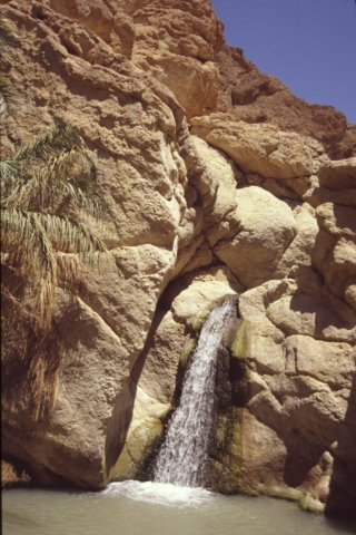 tunisia0223.jpg