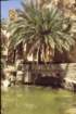 tunisia0224_small.jpg